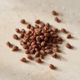 Grains of Paradise