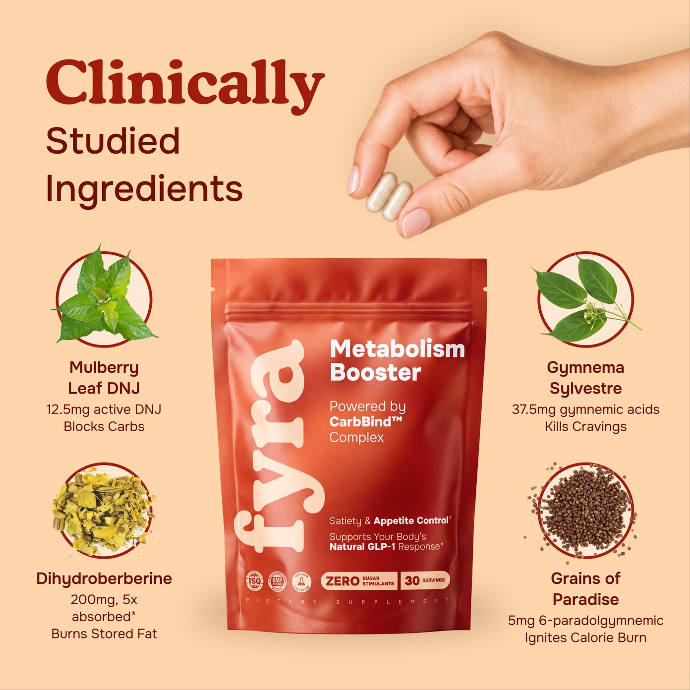 Clinically studied ingredients: Mulberry Leaf DNJ, Gymnema Sylvestre, Dihydroberberine and Grains of Paradise